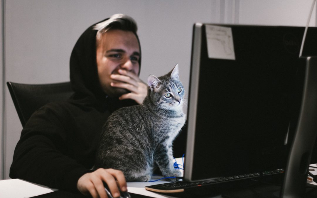 ImmunifyAV – tietoturvatyökalu Wepardin webhotelleissa